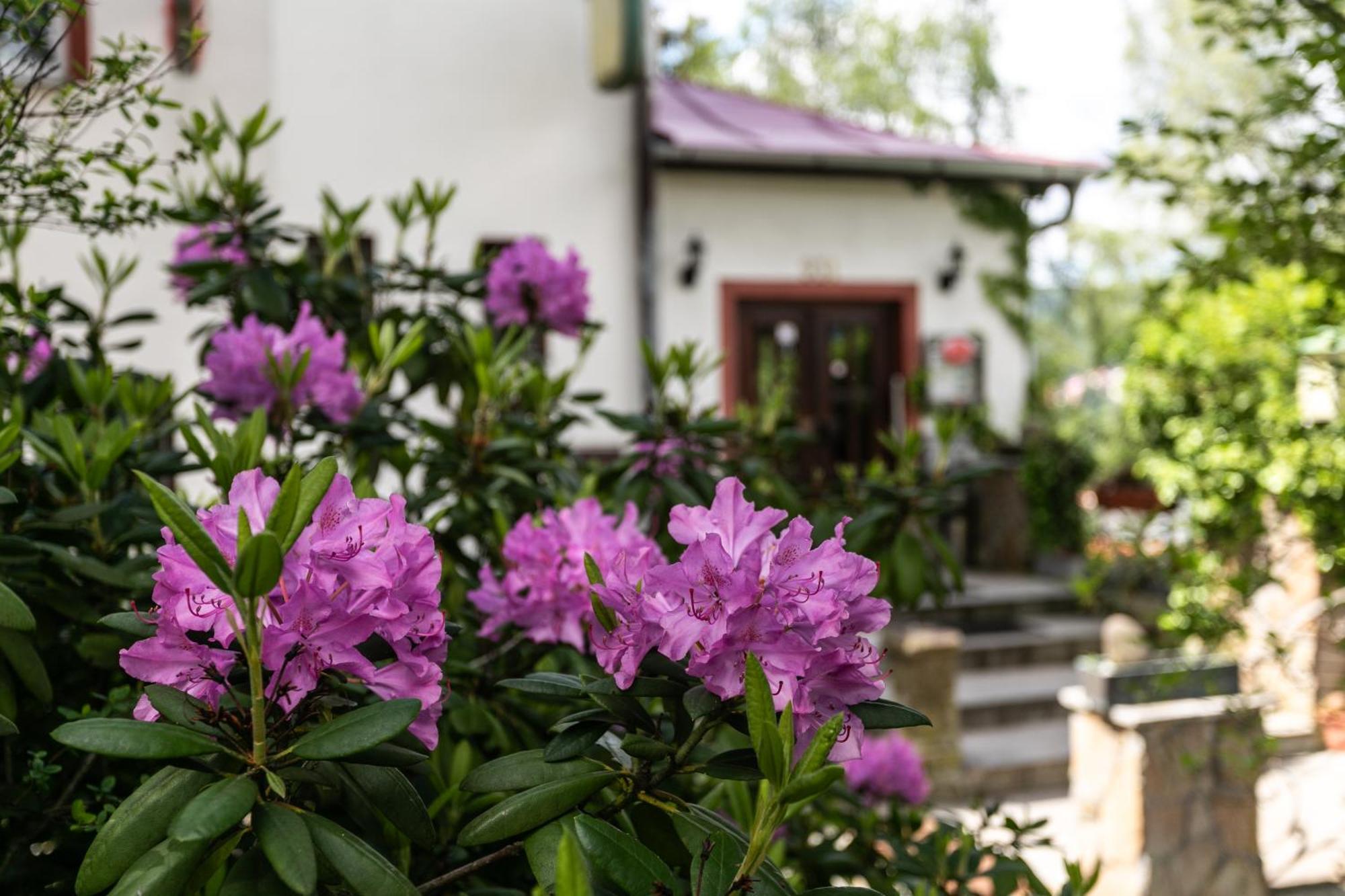 Hotel Panorama Jachymov Ngoại thất bức ảnh